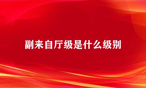 副来自厅级是什么级别