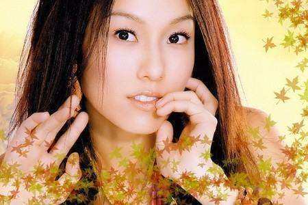 中岛美雪被翻唱歌曲汇总是什么？