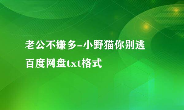 老公不嫌多-小野猫你别逃 百度网盘txt格式