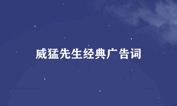 威猛先生经典广告词
