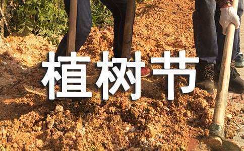 植树节活动方案