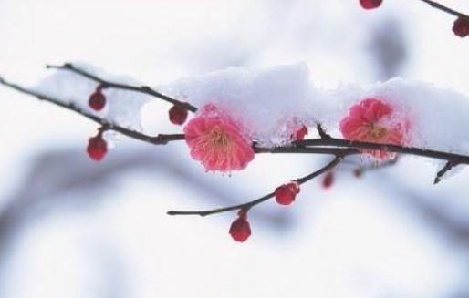 宝剑锋从磨砺出