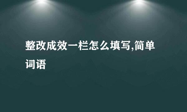 整改成效一栏怎么填写,简单词语