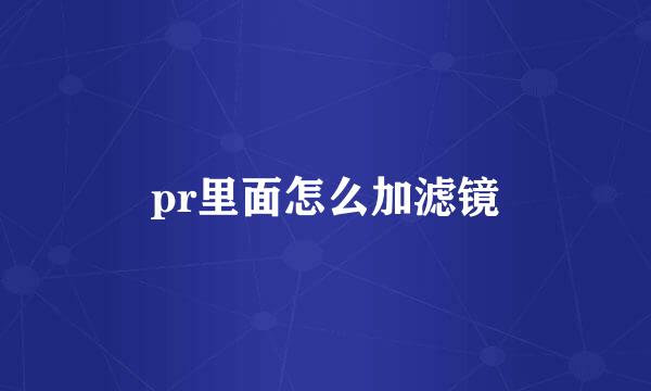 pr里面怎么加滤镜