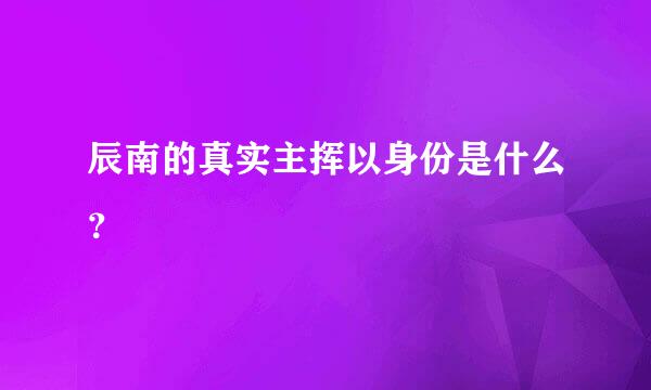 辰南的真实主挥以身份是什么？