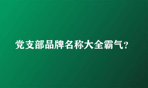 党支部品牌名称大全霸气？
