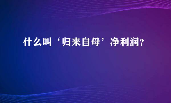 什么叫‘归来自母’净利润？