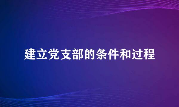 建立党支部的条件和过程
