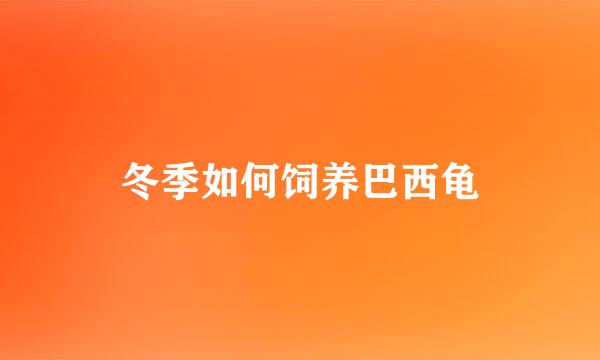 冬季如何饲养巴西龟
