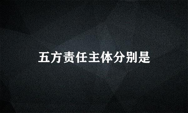 五方责任主体分别是