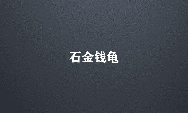石金钱龟