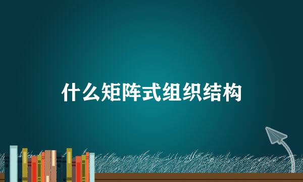 什么矩阵式组织结构