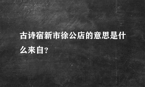 古诗宿新市徐公店的意思是什么来自？