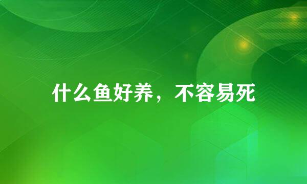 什么鱼好养，不容易死