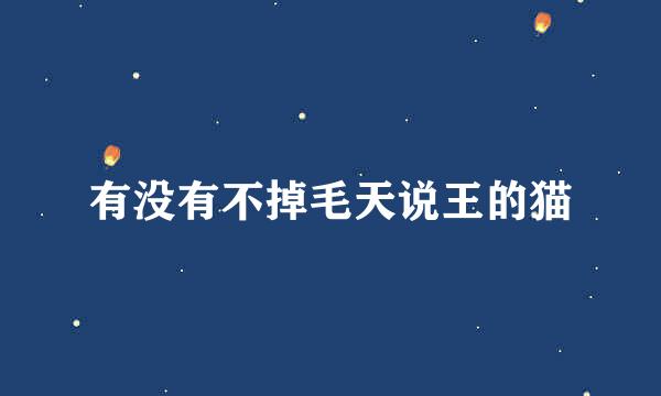 有没有不掉毛天说王的猫