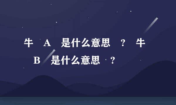 牛 A 是什么意思 ? 牛 B 是什么意思 ?