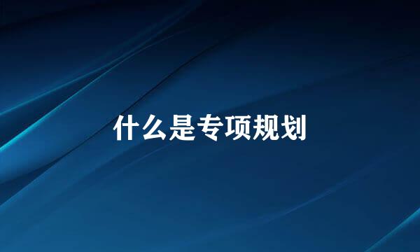 什么是专项规划