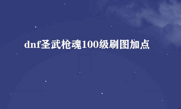 dnf圣武枪魂100级刷图加点