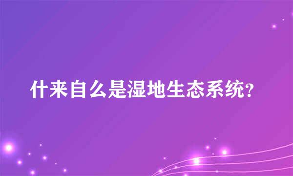 什来自么是湿地生态系统？