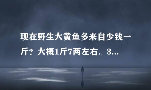 现在野生大黄鱼多来自少钱一斤？大概1斤7两左右。360问答有哪位懂行的人？