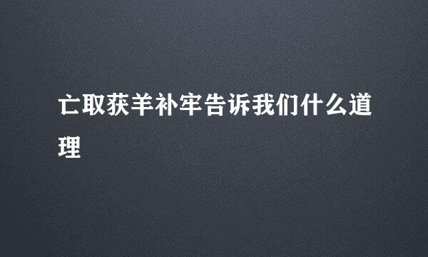 亡取获羊补牢告诉我们什么道理