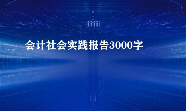 会计社会实践报告3000字