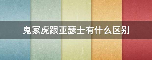 鬼冢虎跟亚瑟士有什么区别