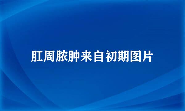 肛周脓肿来自初期图片