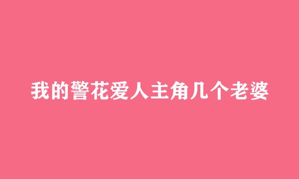 我的警花爱人主角几个老婆