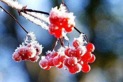 雪字的诗句大全飞花令