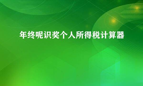 年终呢识奖个人所得税计算器