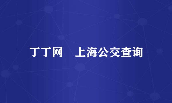 丁丁网 上海公交查询