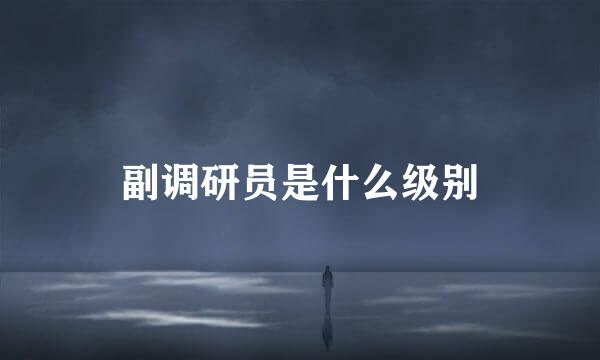 副调研员是什么级别
