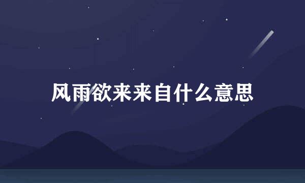 风雨欲来来自什么意思