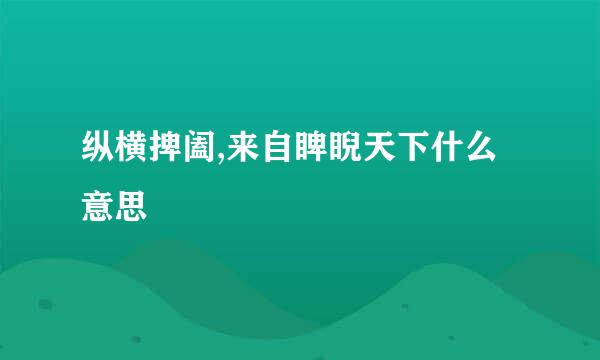 纵横捭阖,来自睥睨天下什么意思