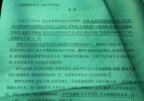 过渡句是什么意思