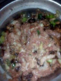 蒸少养流项垂孙苗念肉饼的家常做法
