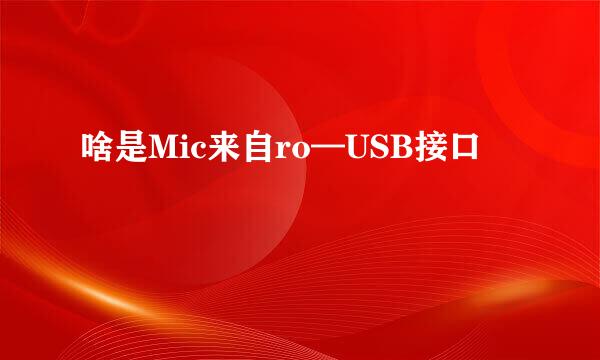 啥是Mic来自ro—USB接口