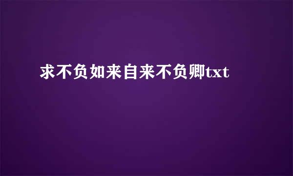 求不负如来自来不负卿txt