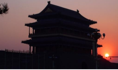 鸡哪李贼是什么？