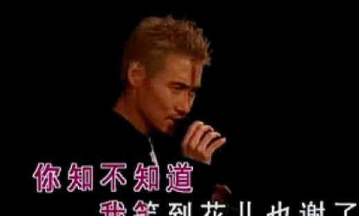我等到花儿也谢了 歌词