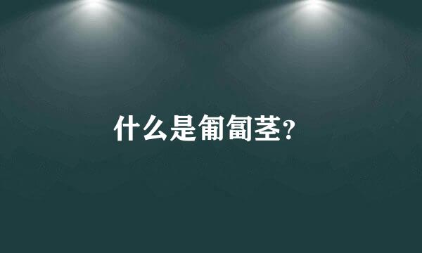 什么是匍匐茎？