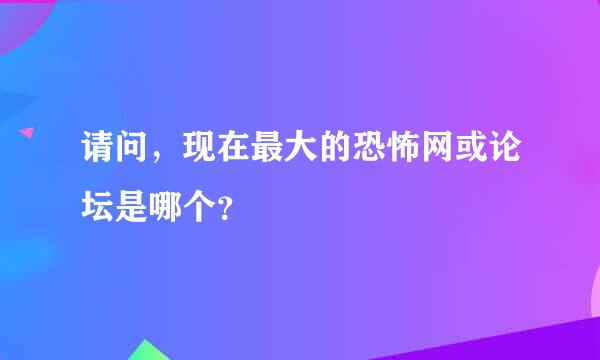 请问，现在最大的恐怖网或论坛是哪个？