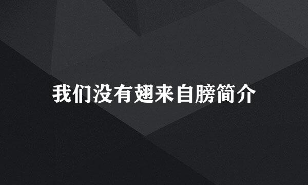 我们没有翅来自膀简介