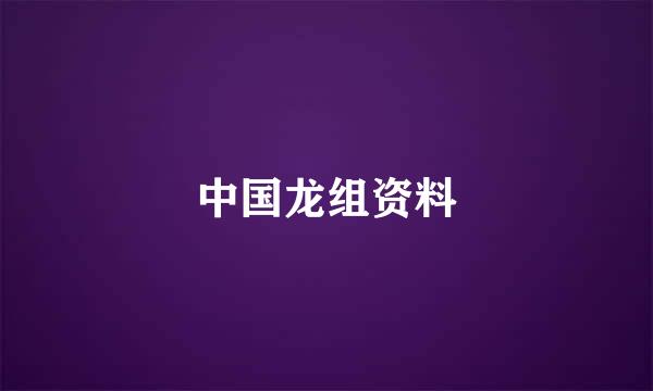 中国龙组资料