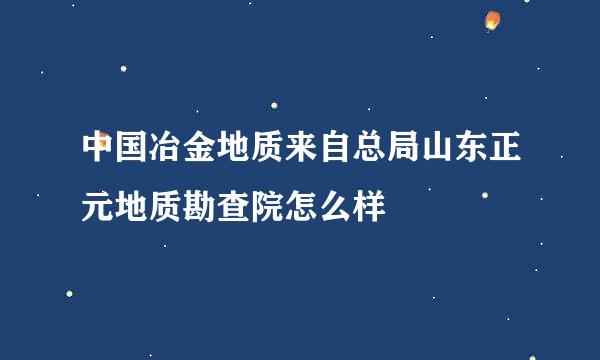 中国冶金地质来自总局山东正元地质勘查院怎么样