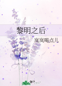 《黎明之后》txt全集下载