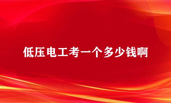 低压电工考一个多少钱啊