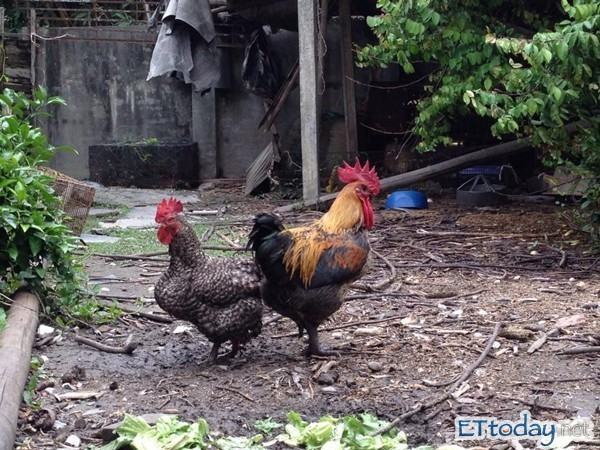 责任编辑的工作职责