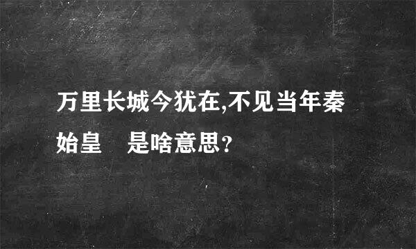 万里长城今犹在,不见当年秦始皇 是啥意思？